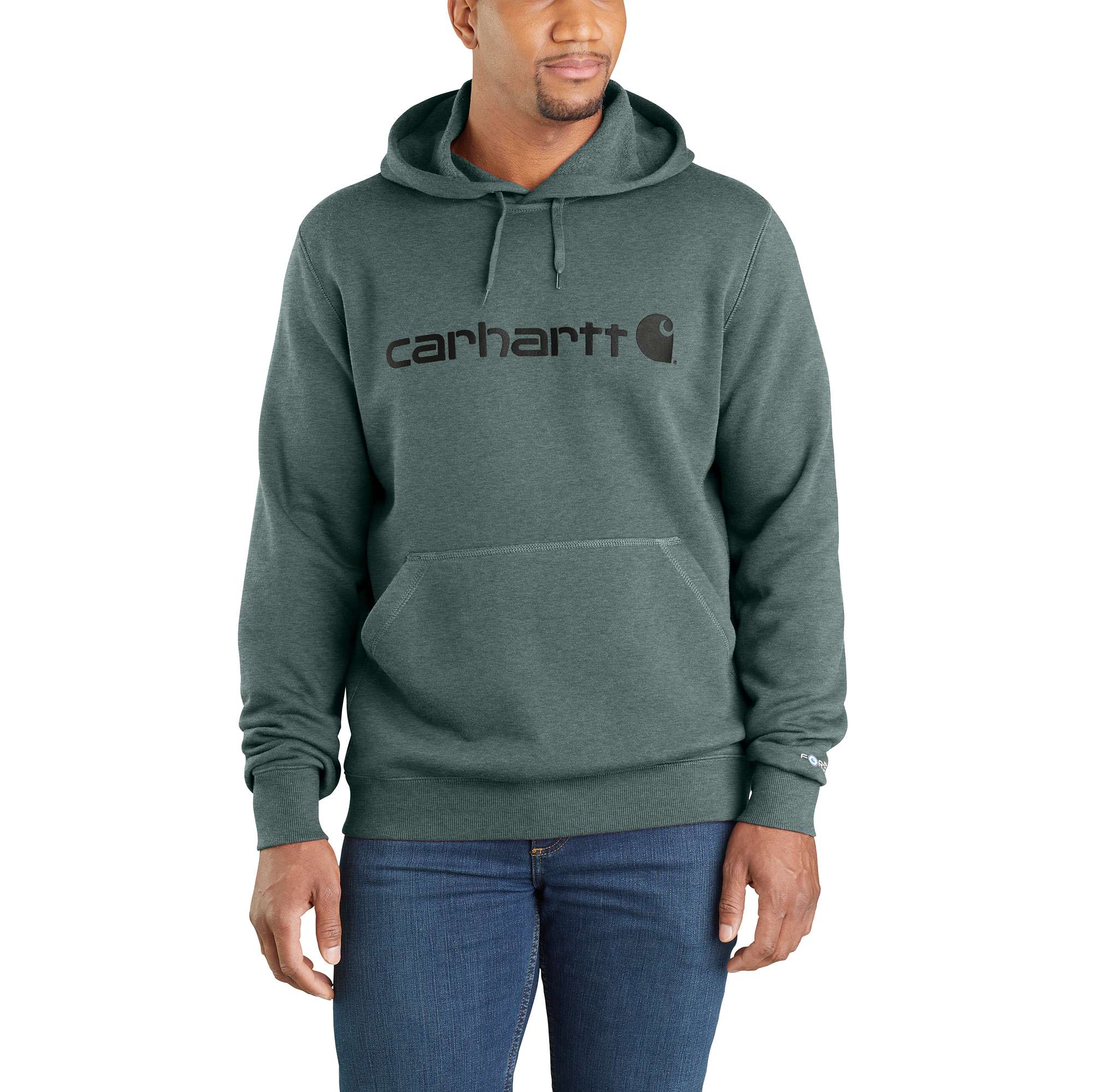 Carhartt Force® Delmont Signature Graphic Hooded Sweatshirt